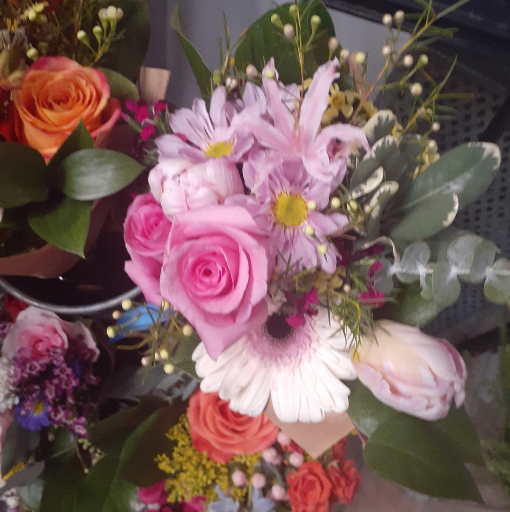 Meet your Posher, Rowan